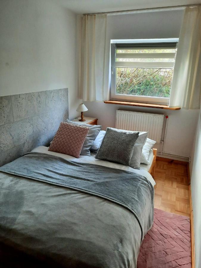 Apartament Albion シクラルスカ・ポレンバ エクステリア 写真