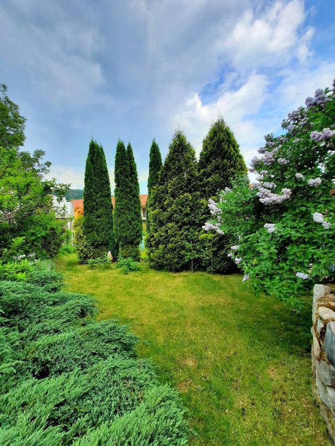 Apartament Albion シクラルスカ・ポレンバ エクステリア 写真