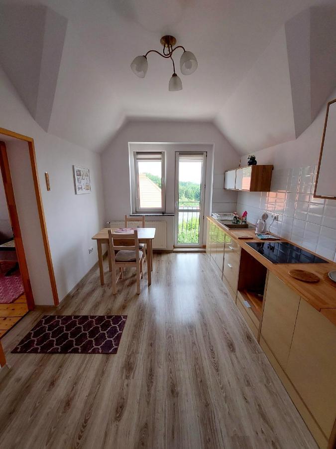 Apartament Albion シクラルスカ・ポレンバ エクステリア 写真